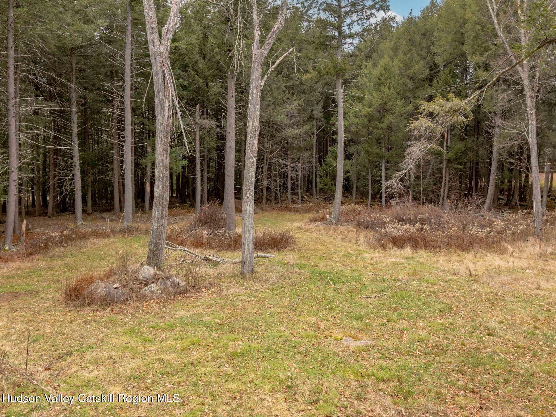 215 Siam Road Windham, NY 12496 - Photo 58 of 65 a backyard of a house with lots of green space