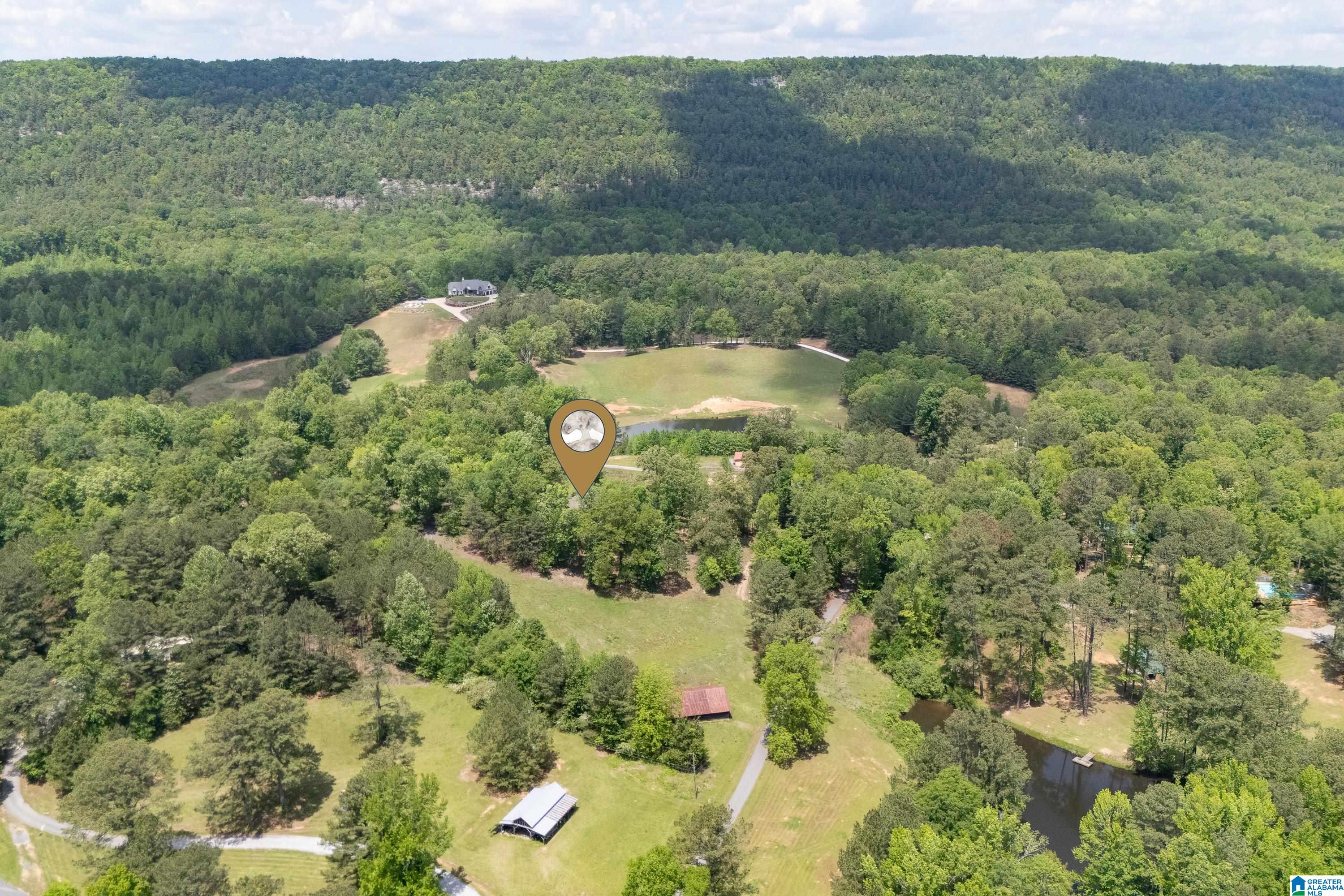 297 Cain Road Chelsea, AL 35043 - Photo 21 of 33