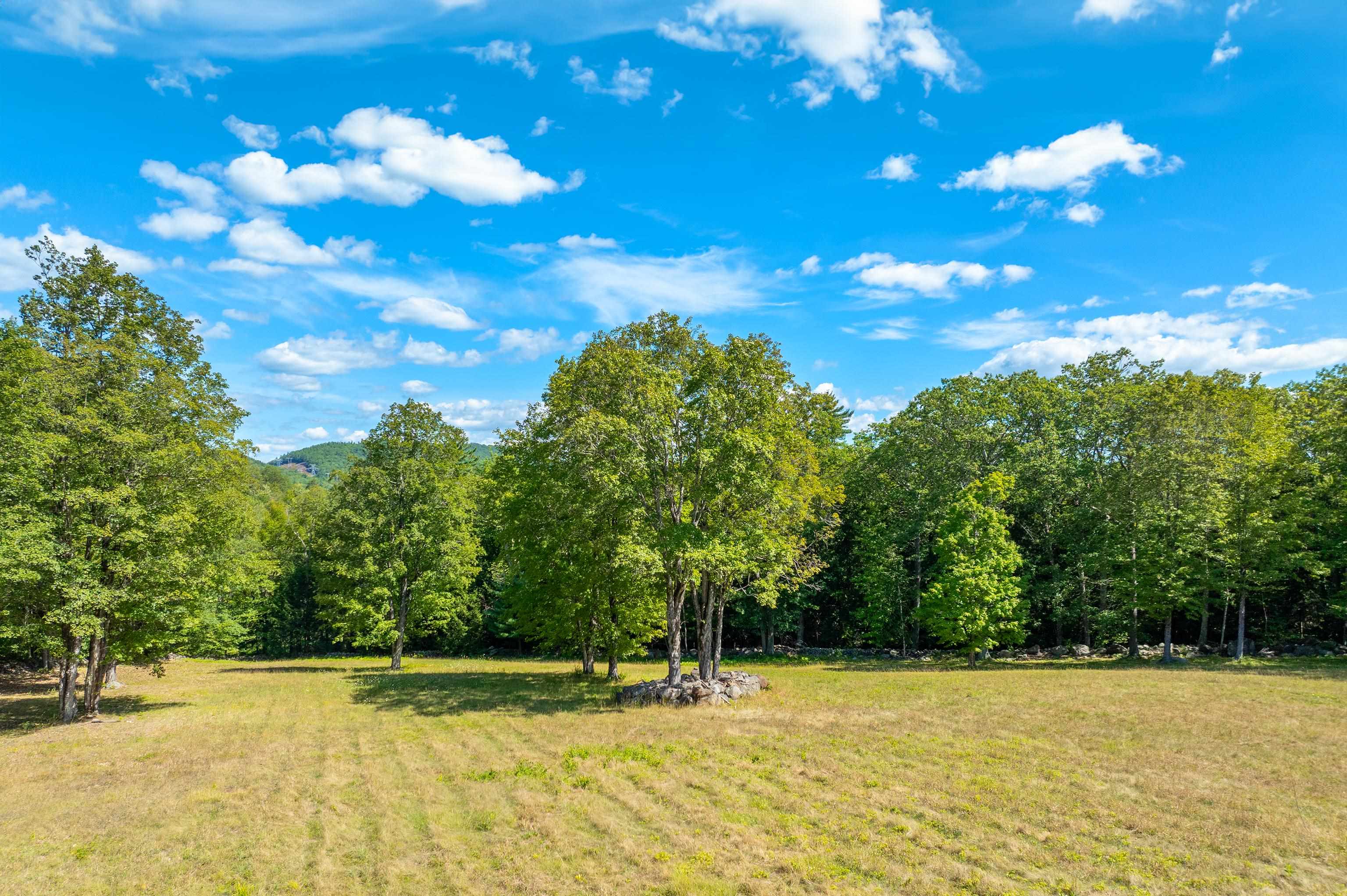 372 Old College Road Andover, NH 03216 - Photo 8 of 17