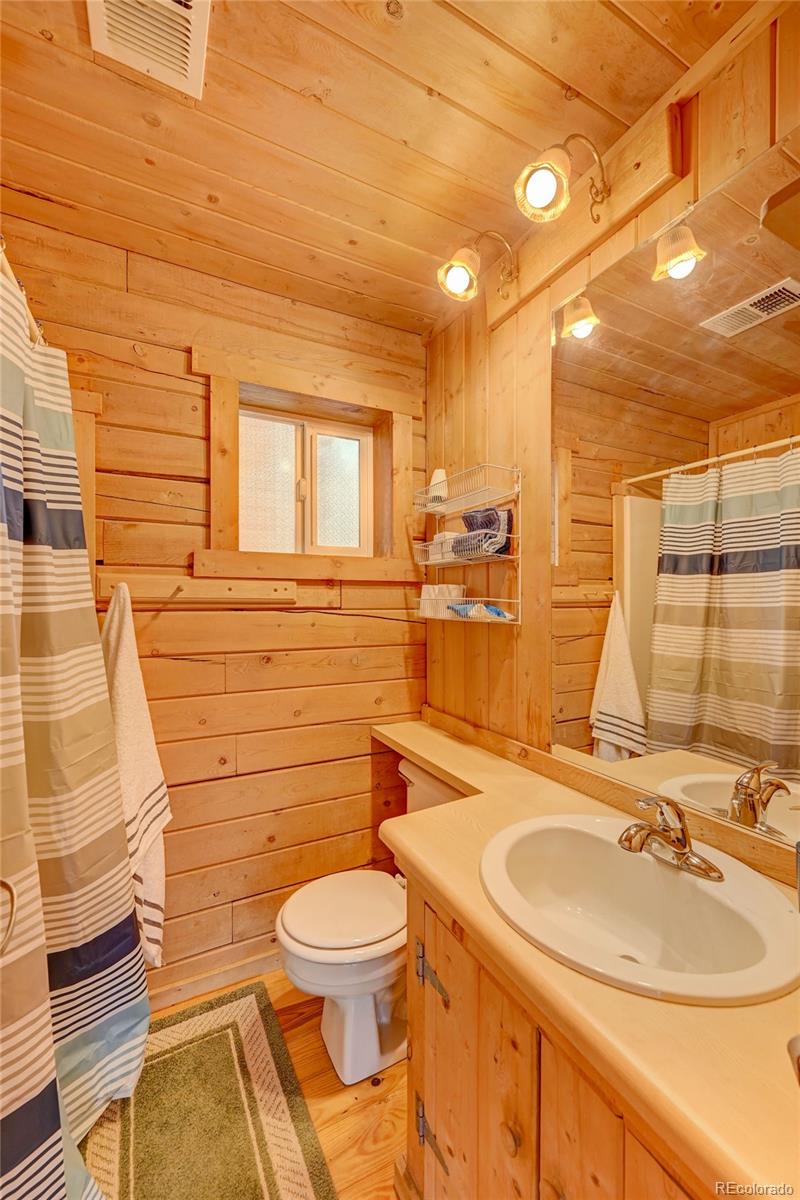 167 Gold Flake Terrace Bailey, CO 80421 - Photo 8 of 19