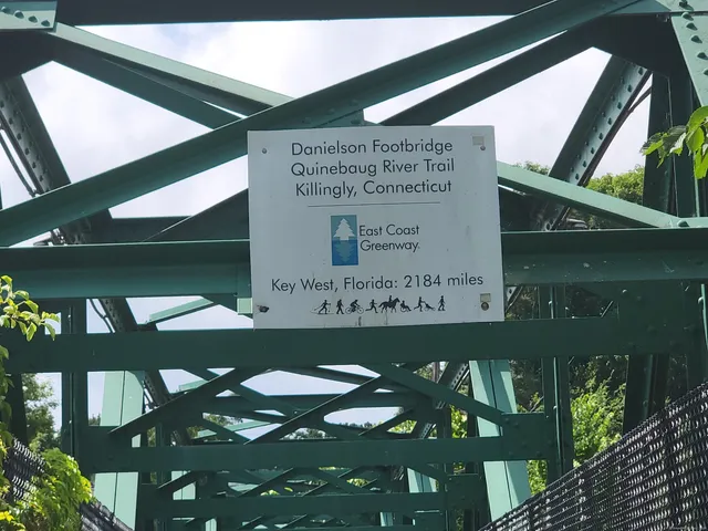 a view of swimming pool from a window