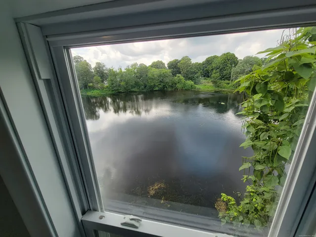 a view of a lake with a city