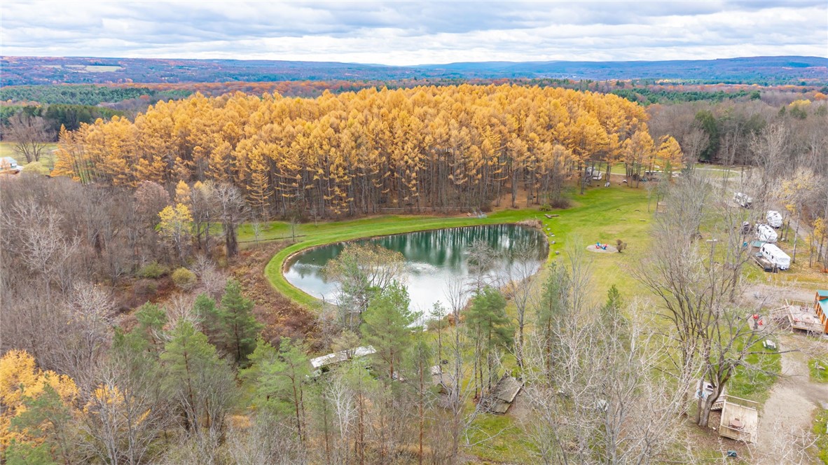 7632 Centerville Road Fillmore, NY 14735 - Photo 6 of 49