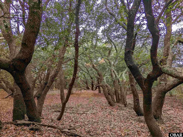 $69,000 | 2386 Carova Road, Corolla, NC 27927