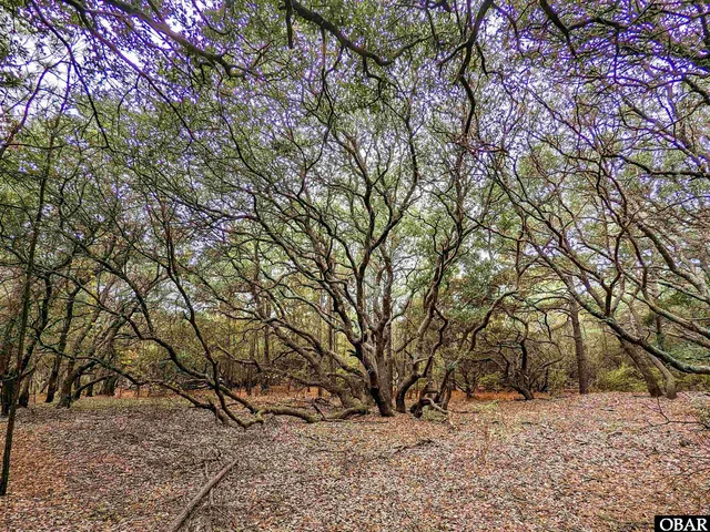 $69,000 | 2386 Carova Road, Corolla, NC 27927