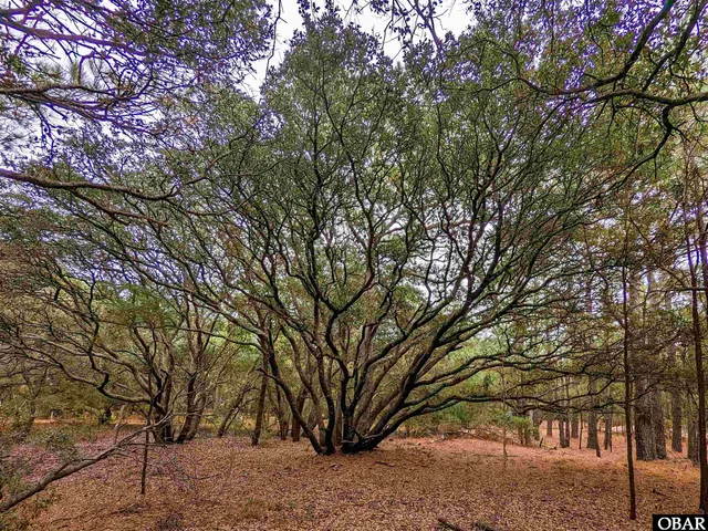 $69,000 | 2386 Carova Road, Corolla, NC 27927