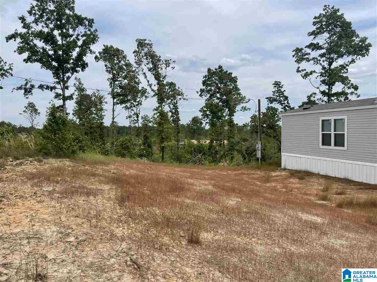 140 County Road 214 Fruithurst, AL 36262 - Photo 19 of 20