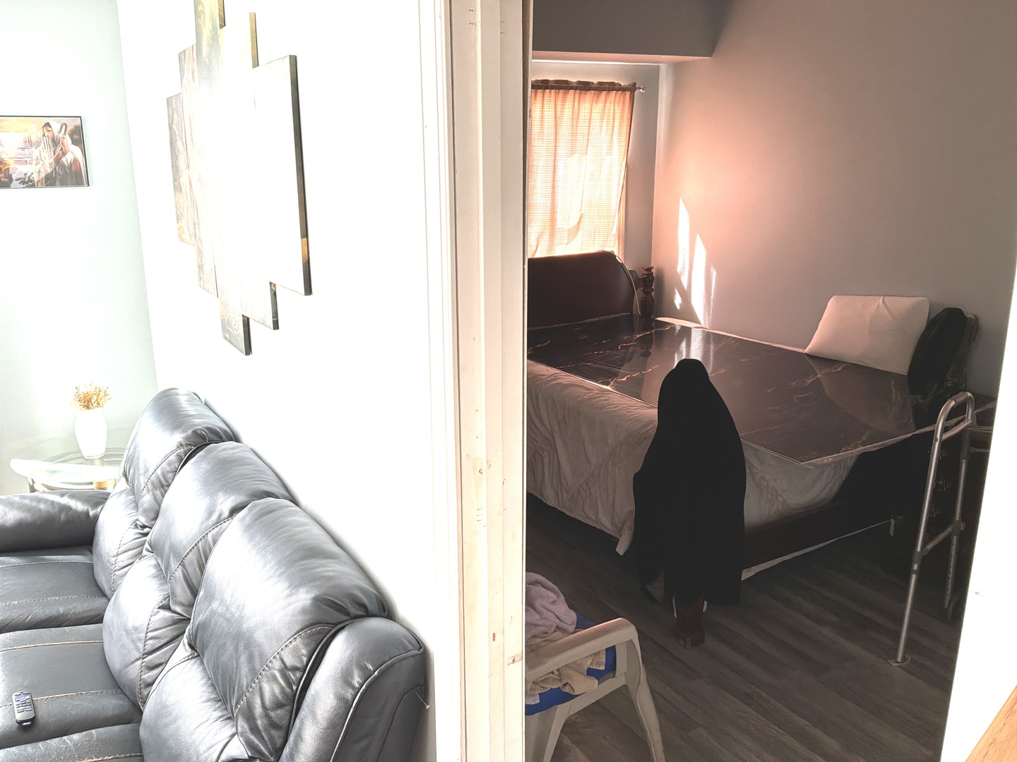 307 Mills Road Joliet, IL 60433 - Photo 8 of 29