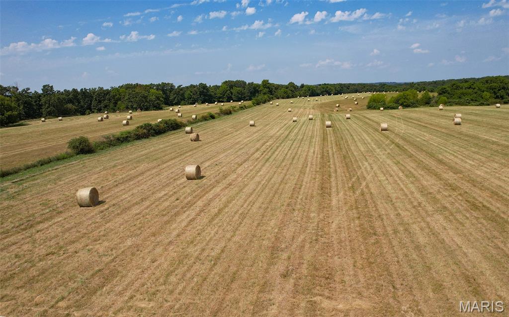 1477 Bell Ford Road Marshfield, MO 65706 - Photo 51 of 77