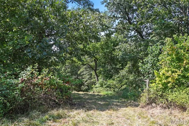 $965,000 | 1477 Bell Ford Road, Marshfield, MO 65706