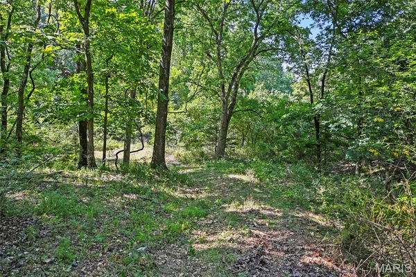$965,000 | 1477 Bell Ford Road, Marshfield, MO 65706