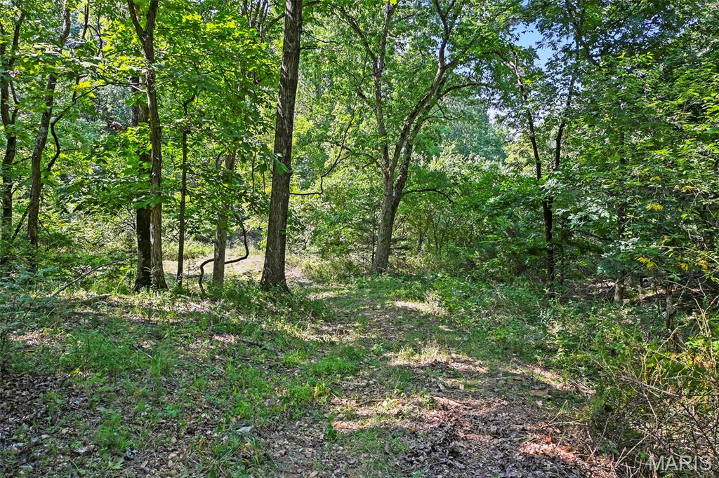 1477 Bell Ford Road Marshfield, MO 65706 - Photo 61 of 77