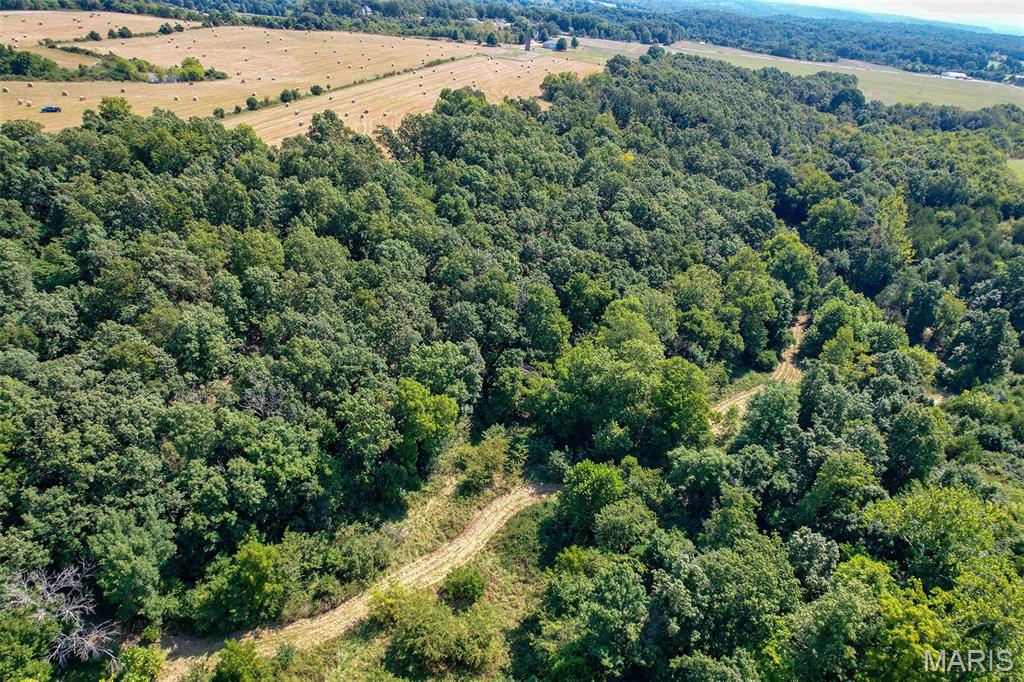 1477 Bell Ford Road Marshfield, MO 65706 - Photo 63 of 77