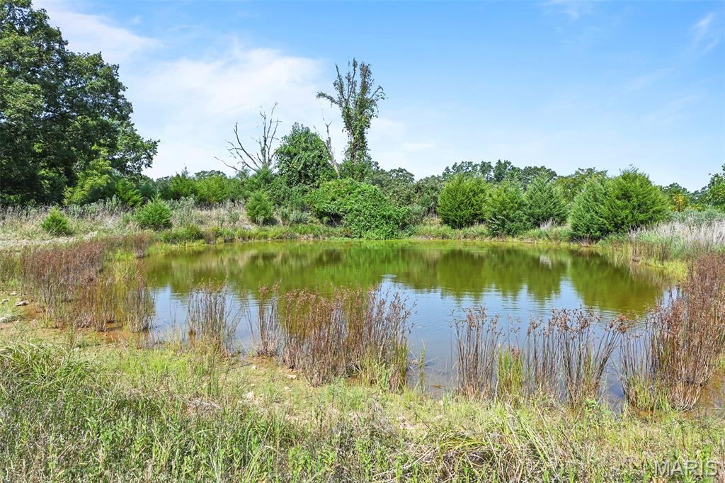 1477 Bell Ford Road Marshfield, MO 65706 - Photo 66 of 77