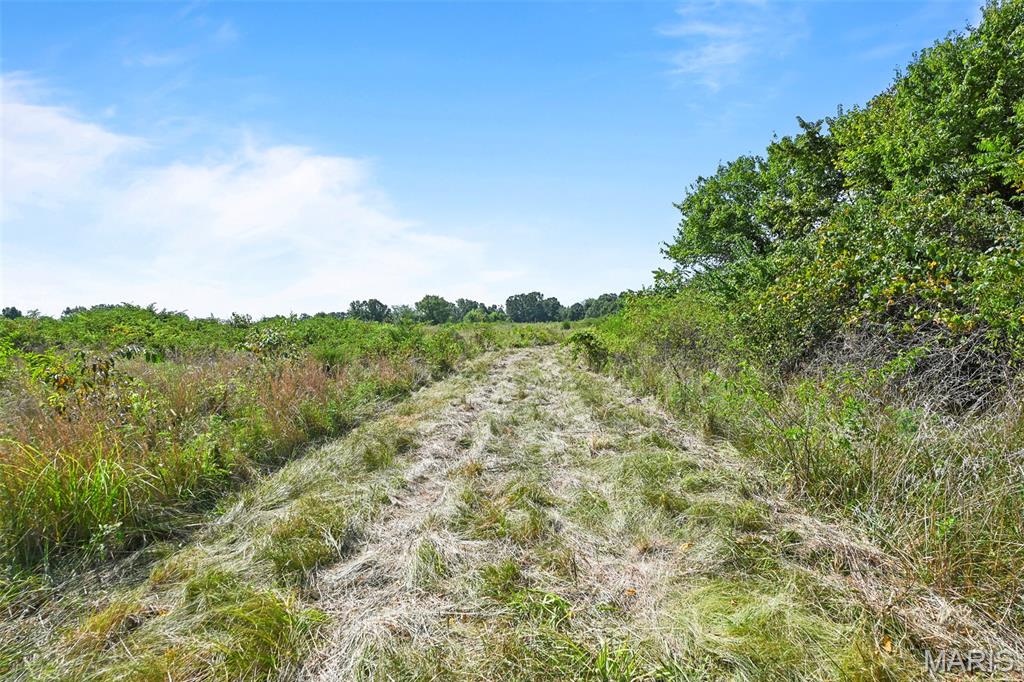 1477 Bell Ford Road Marshfield, MO 65706 - Photo 67 of 77