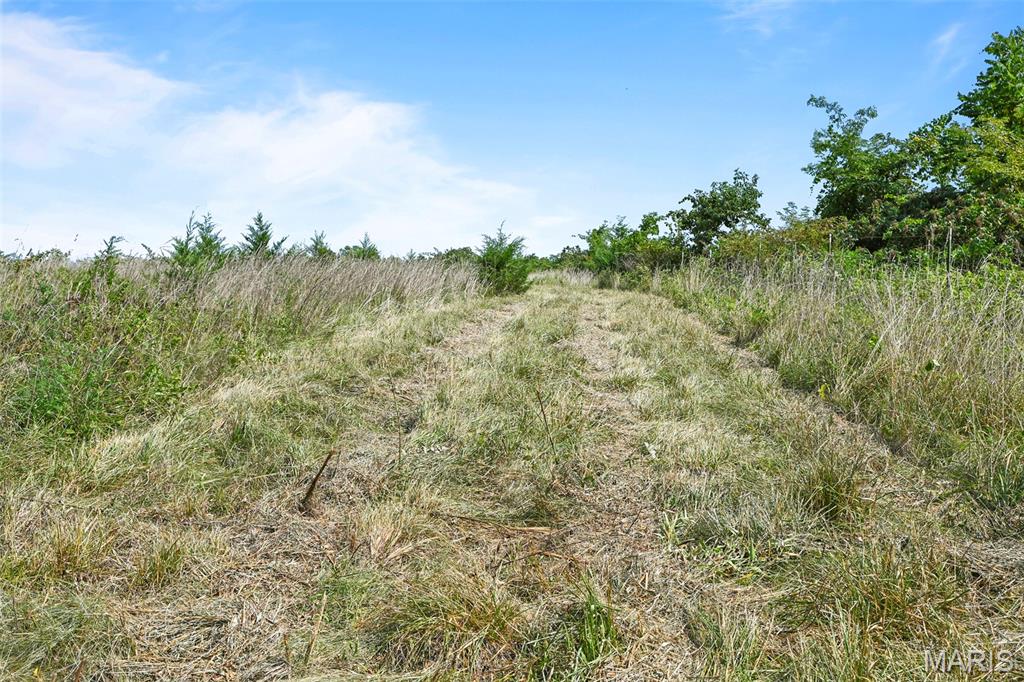 1477 Bell Ford Road Marshfield, MO 65706 - Photo 69 of 77