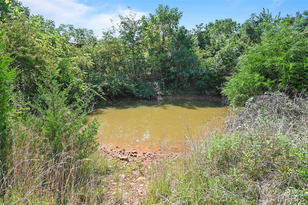 1477 Bell Ford Road Marshfield, MO 65706 - Photo 70 of 77