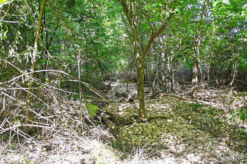 1477 Bell Ford Road Marshfield, MO 65706 - Photo 73 of 77