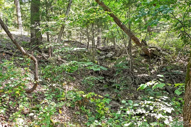 $965,000 | 1477 Bell Ford Road, Marshfield, MO 65706