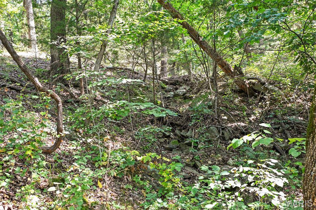 1477 Bell Ford Road Marshfield, MO 65706 - Photo 74 of 77