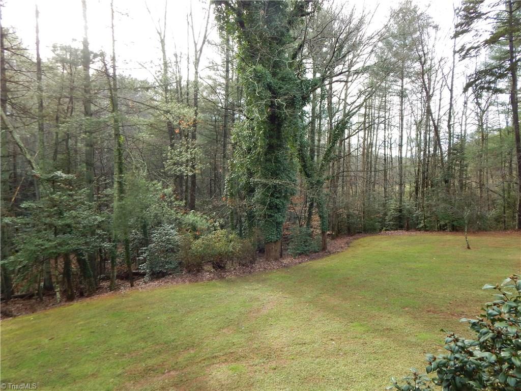 192 Sylvan Road Thurmond, NC 28683 - Photo 23 of 25 Gallery Image 23