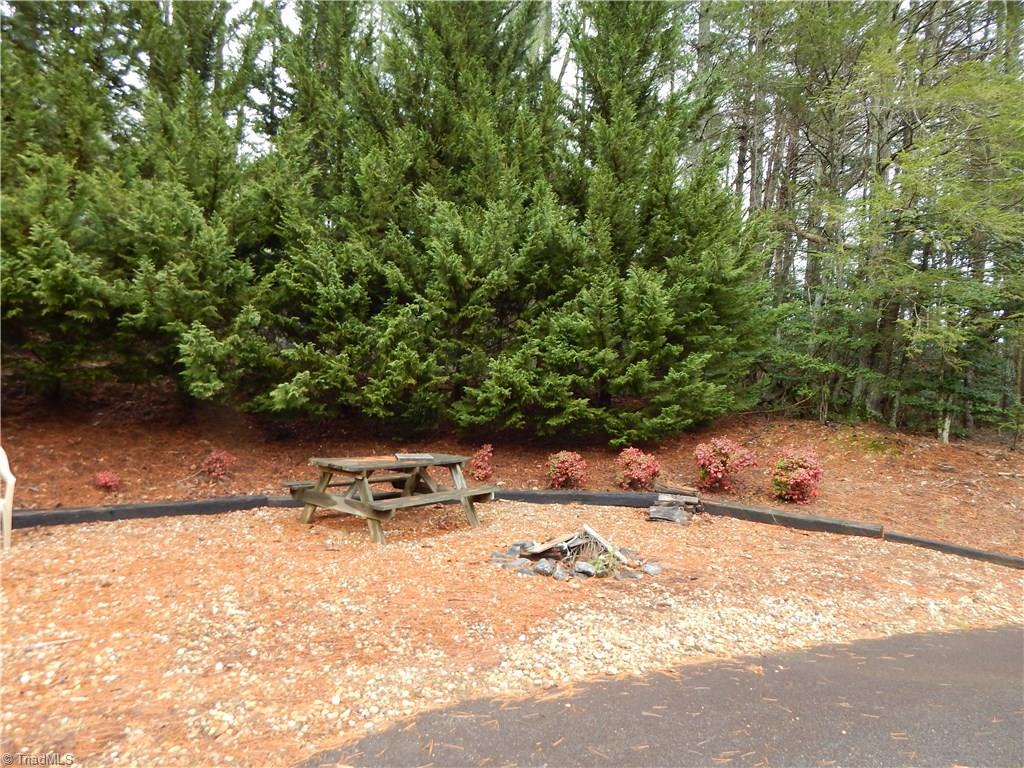 192 Sylvan Road Thurmond, NC 28683 - Photo 25 of 25 Gallery Image 25