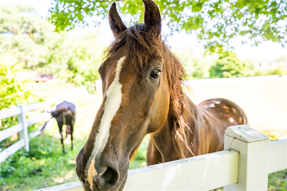 9E Bradford Road Westerly, RI 02808 - Photo 3 of 49