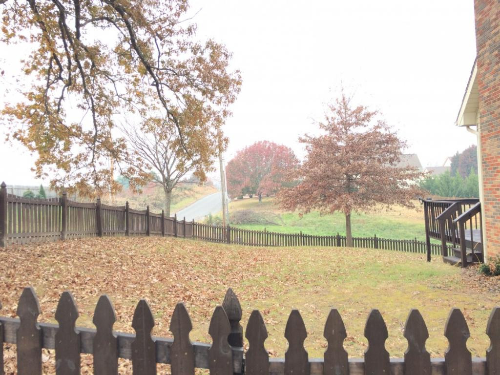 248 Union Church Road Jonesborough, TN 37659 - Photo 5 of 36 Backyard