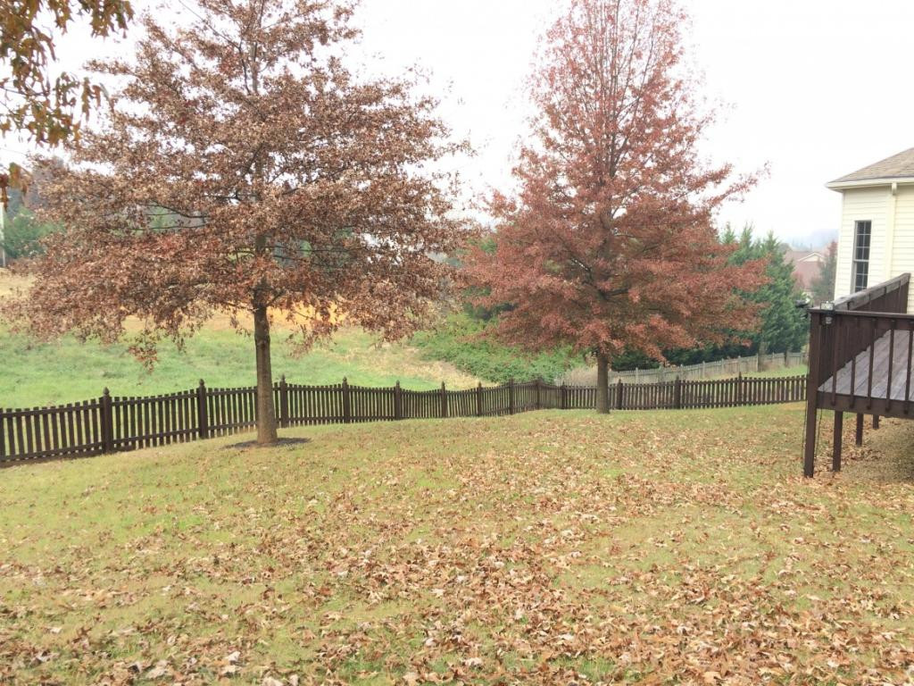 248 Union Church Road Jonesborough, TN 37659 - Photo 6 of 36 Backyard2