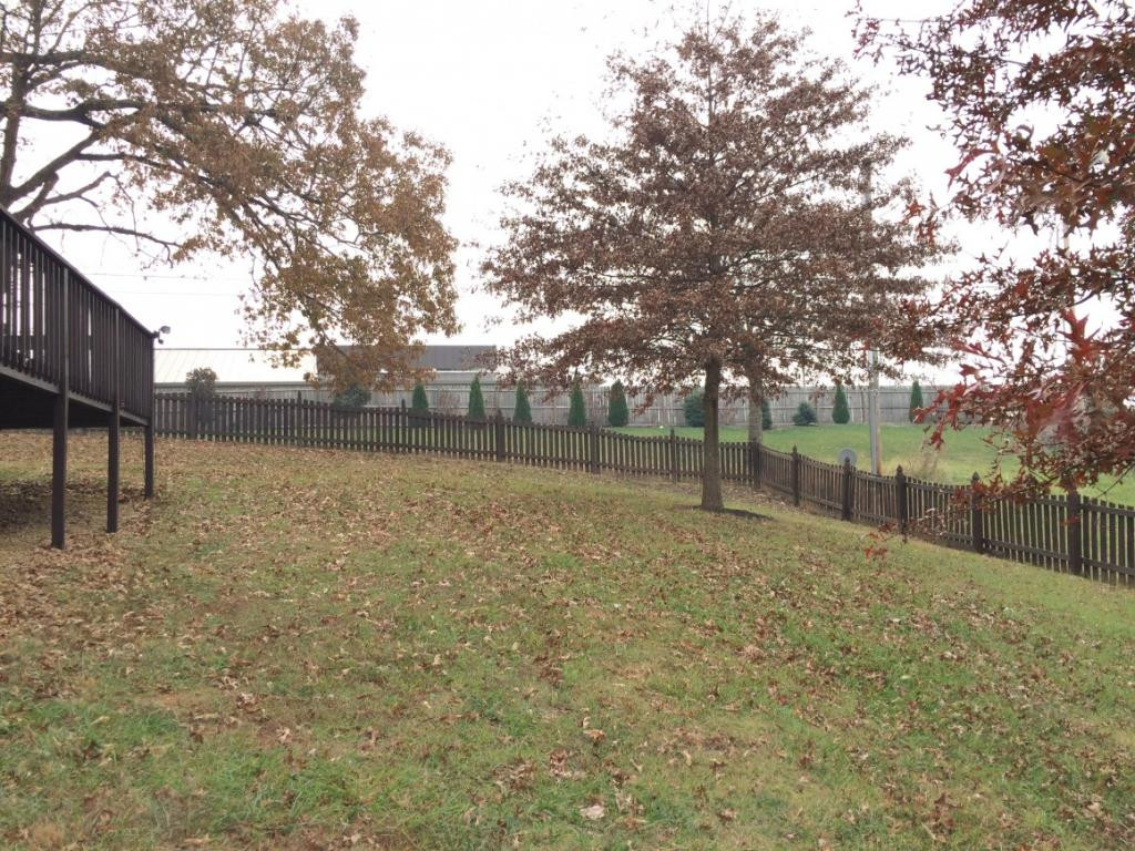 248 Union Church Road Jonesborough, TN 37659 - Photo 7 of 36 Backyard 3
