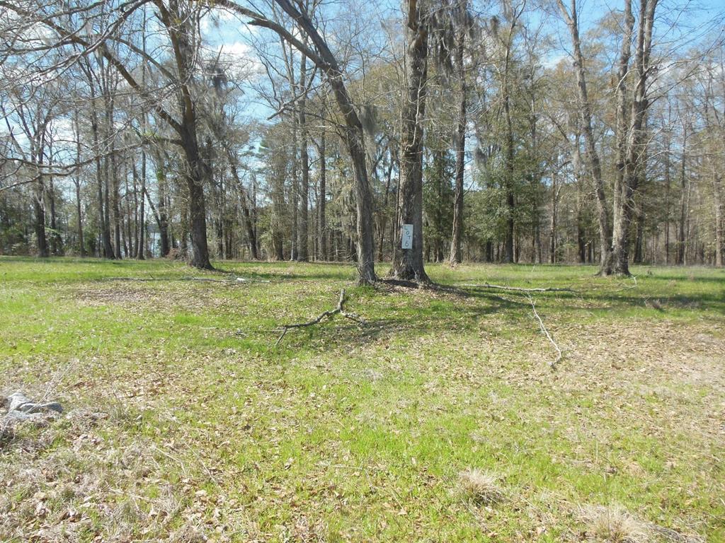 Lot 6 County Line Road Georgetown, GA 39854 - Photo 1 of 1