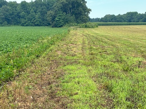 0 Rushing Road Ethridge, TN 38456 - Photo 4 of 9