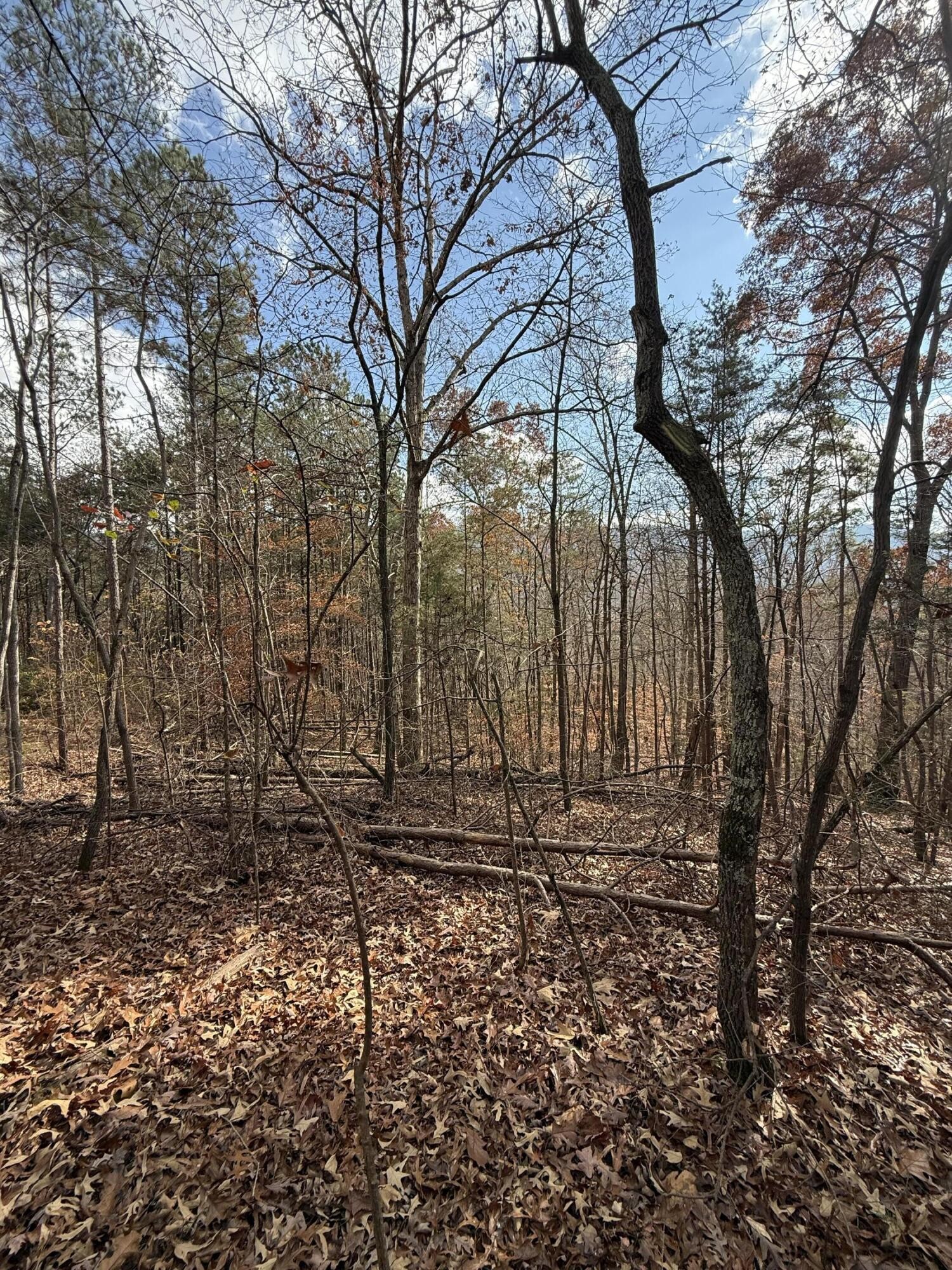1 Parksville Road Benton, TN 37307 - Photo 13 of 16