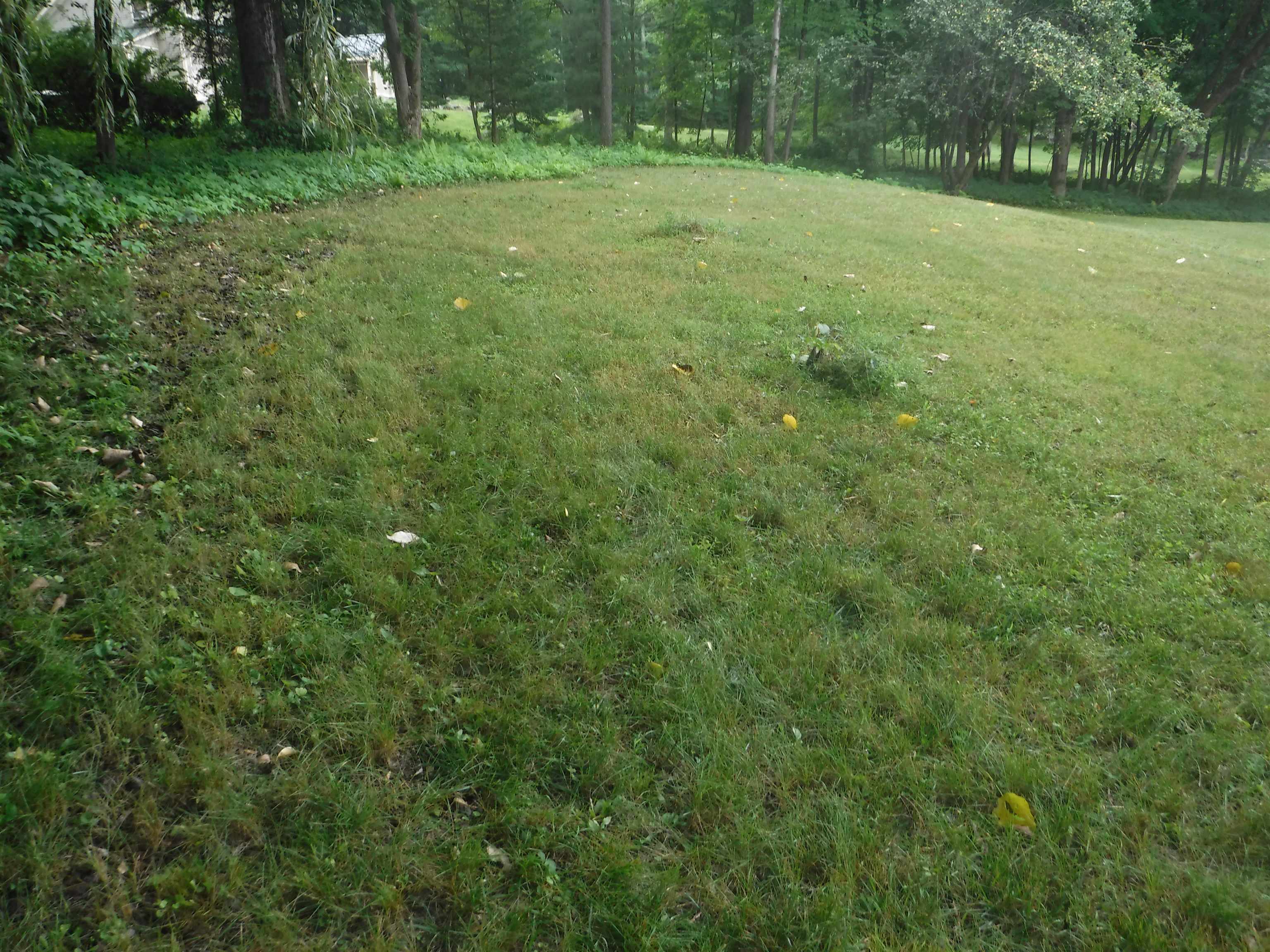 335 Corn Hill Road Pittsford, VT 05763 - Photo 23 of 30