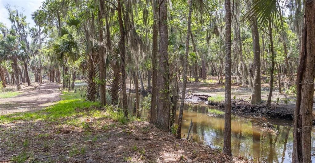 7149 Fitzpatrick Lane Jacksonville, FL 32226 - Photo 23 of 69