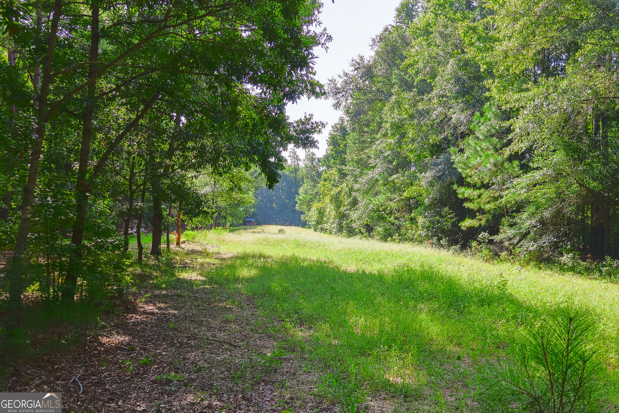 1362 Doyle Road Sardis, GA 30456 - Photo 35 of 53 Gallery Image 35