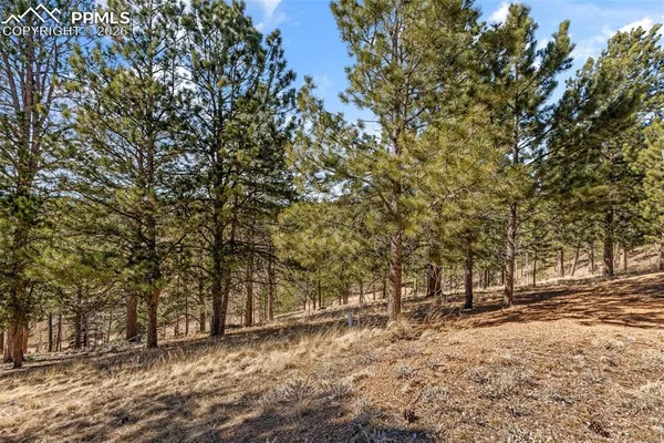 $410,000 | 487 Maroon Lake Circle, Divide, CO 80814