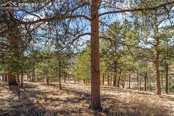 $410,000 | 487 Maroon Lake Circle, Divide, CO 80814