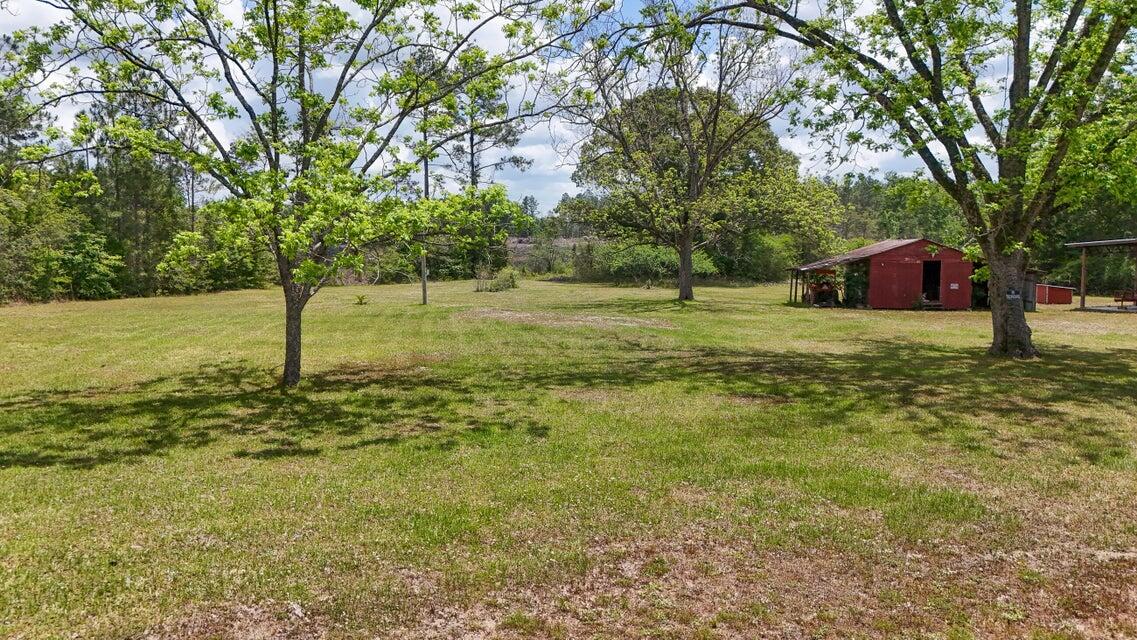 258 Briar Road DeFuniak Springs, FL 32433 - Photo 17 of 25 a view of a big yard with an tree