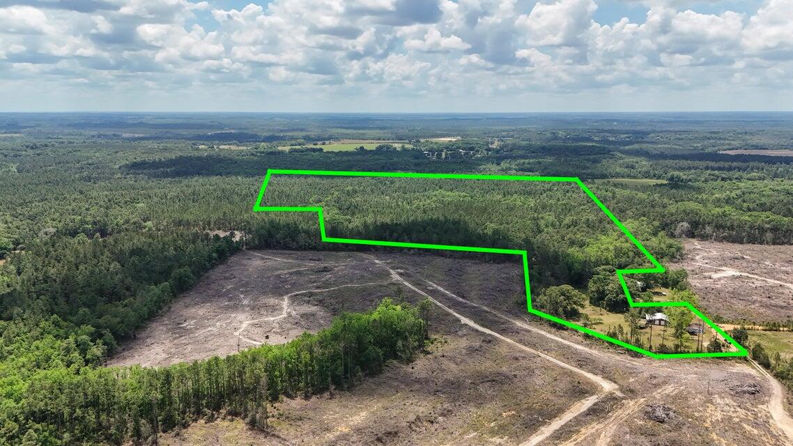 258 Briar Road DeFuniak Springs, FL 32433 - Photo 18 of 25 a view of a pathway with a big yard