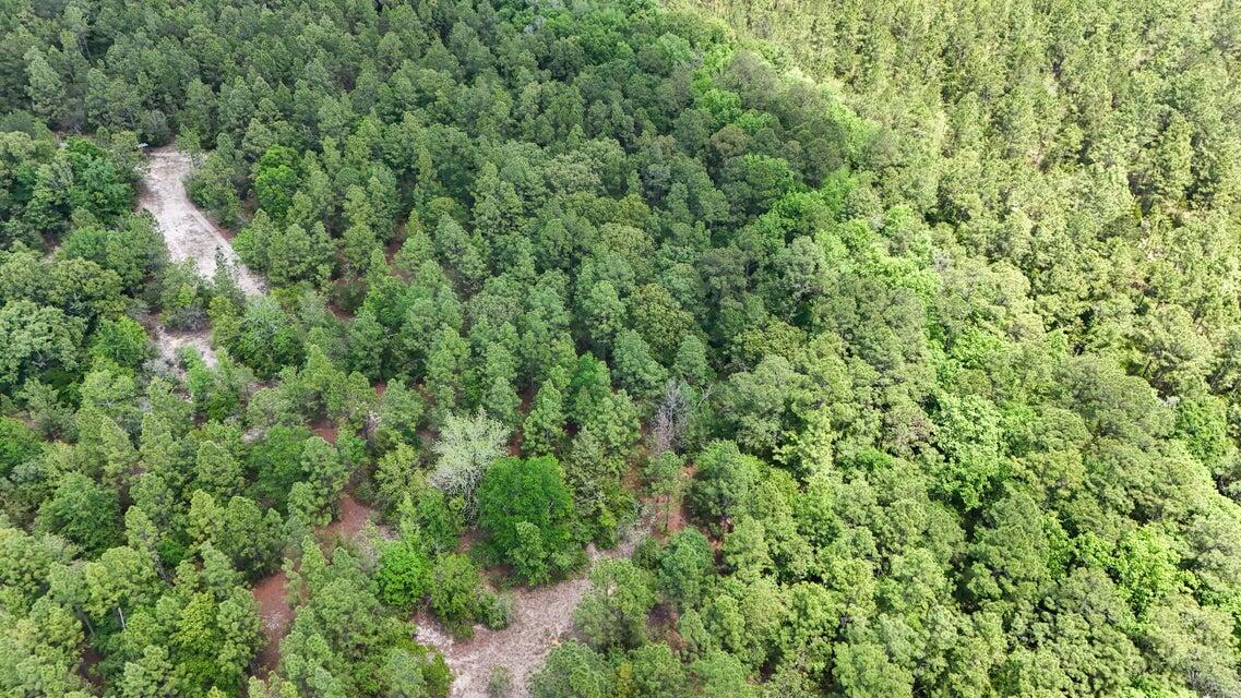 258 Briar Road DeFuniak Springs, FL 32433 - Photo 19 of 25 a view of a large yard with lots of green space