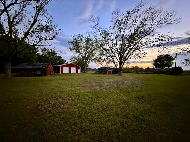 a view of green field with tree in the background