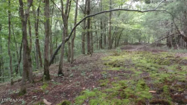 $38,500 | 2.64 Old Hwy 53 S, Celina, TN 38551