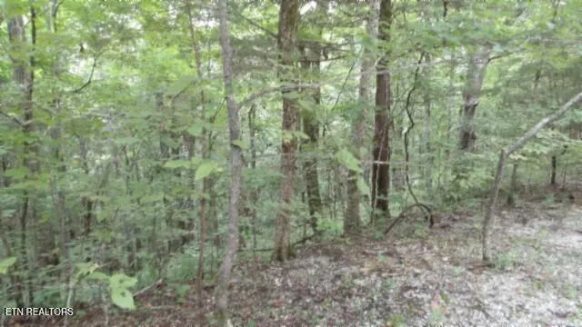 $32,500 | 2.64 Old Hwy 53 S, Celina, TN 38551