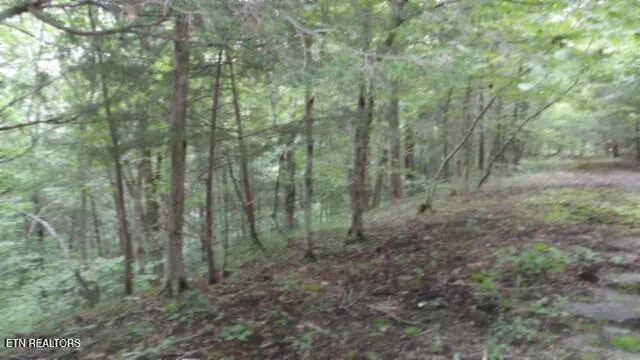 $32,500 | 2.64 Old Hwy 53 S, Celina, TN 38551