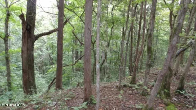 $32,500 | 2.64 Old Hwy 53 S, Celina, TN 38551