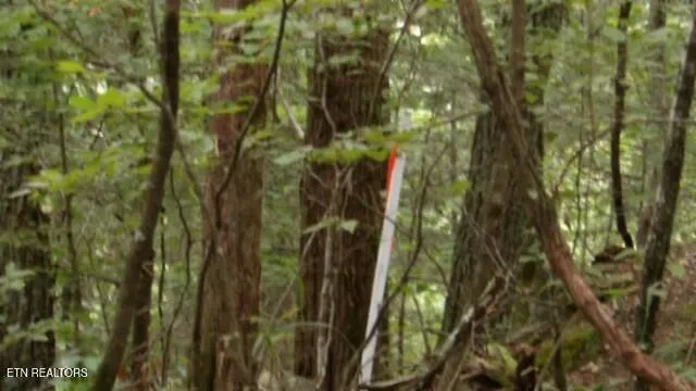 $32,500 | 2.64 Old Hwy 53 S, Celina, TN 38551