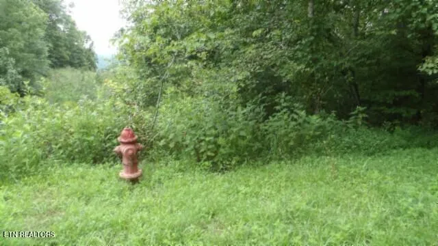 $32,500 | 2.64 Old Hwy 53 S, Celina, TN 38551