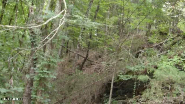 $32,500 | 2.64 Old Hwy 53 S, Celina, TN 38551