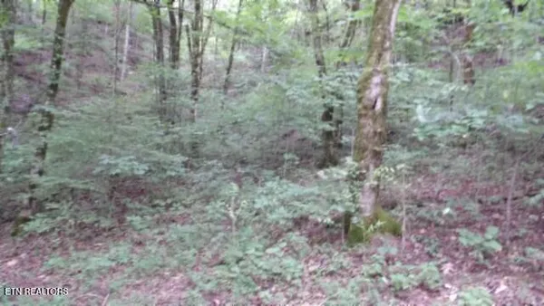 $32,500 | 2.64 Old Hwy 53 S, Celina, TN 38551